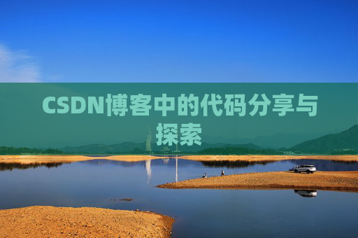 CSDN博客中的代码分享与探索